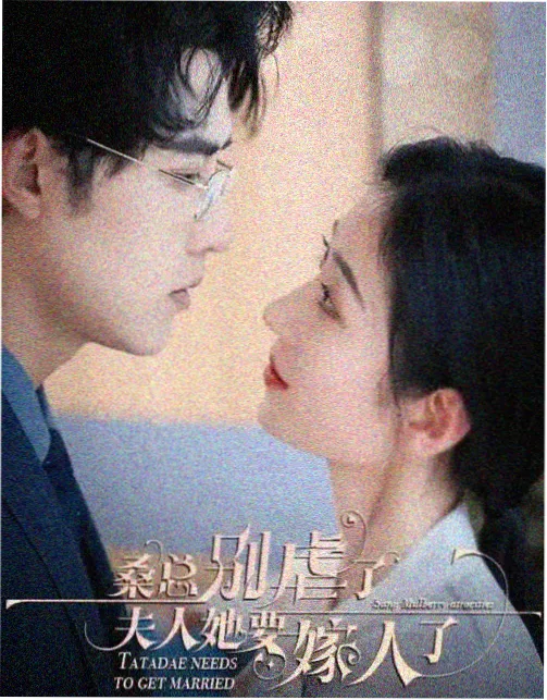 花园里的间谍 谍战悬疑美剧封面